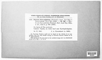 Puccinia poae-sudeticae image